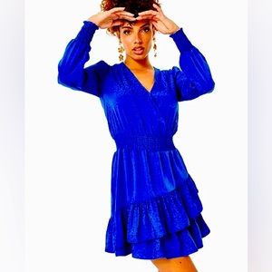 EUC!!! Size 8 Cristiana Dress. Ikat blue. Print: petite leopard jaquard